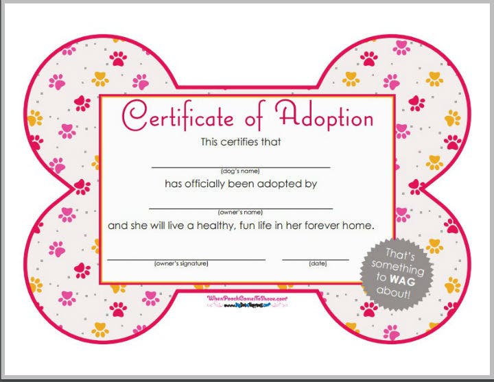 13 Pet Birth Certificate Designs  Templates  Pdf Psd regarding Best Pet Adoption Certificate Template Free 23 Designs