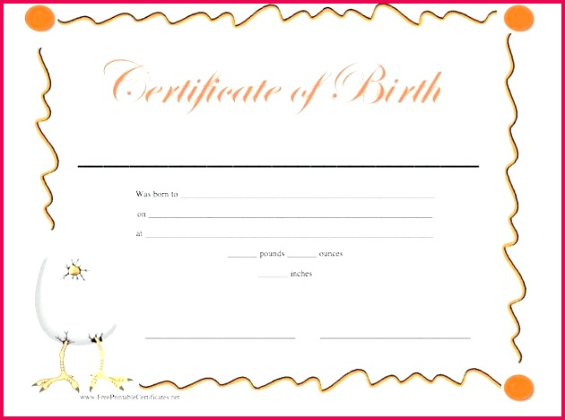 3 Make Fake Birth Certificate Template 94493  Fabtemplatez in Novelty Birth Certificate Template
