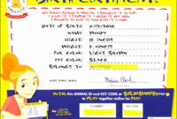 6 Creative Birth Certificate Template  Sampletemplatess for Quality Build A Bear Birth Certificate Template