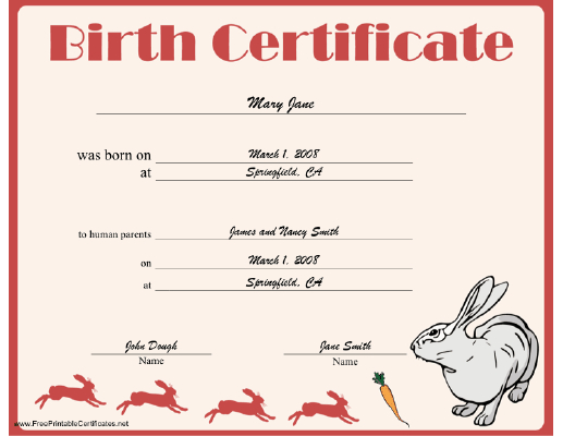 A Birth Certificate For A Bunny Rabbit Illustrated With with Cute Birth Certificate Template