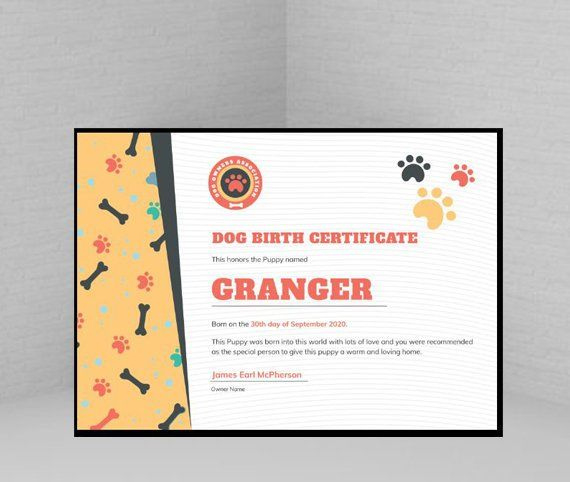 Birth Certificate Adopt A Pet Party Build A Stuffed within Stuffed Animal Birth Certificate Templates
