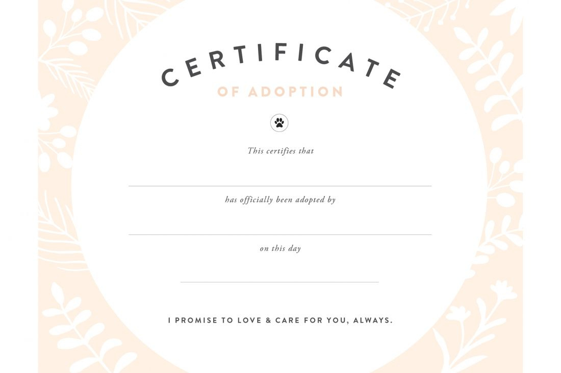 Blank Adoption Certificate  Mahrehorizonconsultingco In within Pet Birth Certificate Templates Fillable