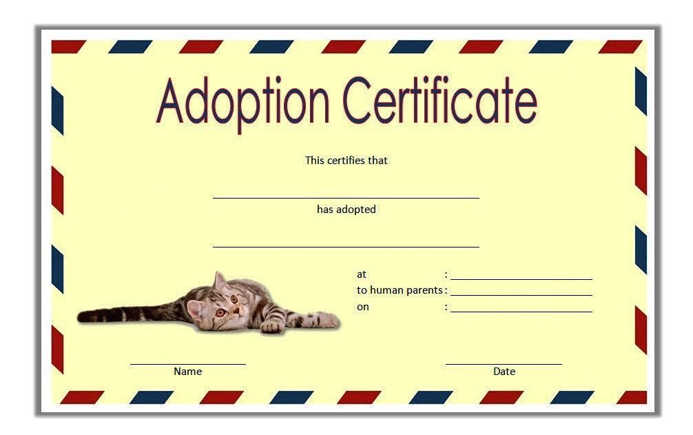 Cat Adoption Certificate Template Free 2Nd Idea In 2020 with Free Dog Adoption Certificate Template