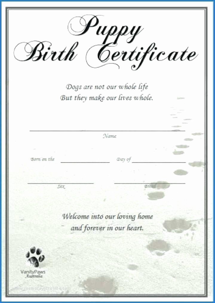 Dog Birth Certificate Template Best Of Ethercard inside Amazing Dog Vaccination Certificate Template