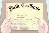Fake Birth Certificate Maker Free  The Outstanding Fake regarding Fake Birth Certificate Template