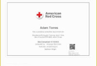 Free Cpr Card Template Of Bls Cpr Card Template Five Quick for Awesome Crossing The Line Certificate Template