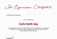 Free Job Experience Certificate Template In Adobe for Awesome Good Job Certificate Template