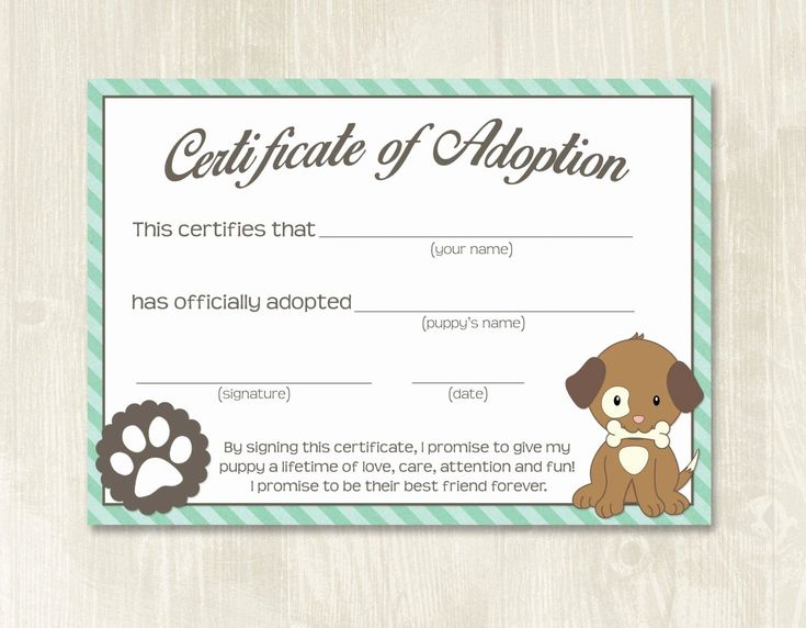 Free Pet Adoption Certificate Template Elegant Puppy Party in Cat Adoption Certificate Templates