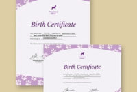 How To Make A Birth Certificate 12 Templates  Free with Amazing Pet Birth Certificate Template 24 Choices