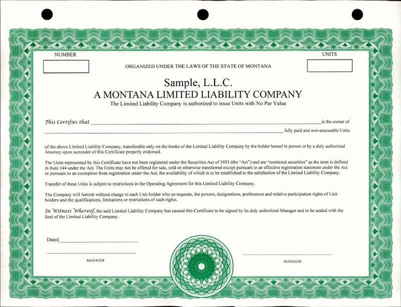 Llc Members Unit Ledger Book  Golfschulemittersill within Share Certificate Template Companies House