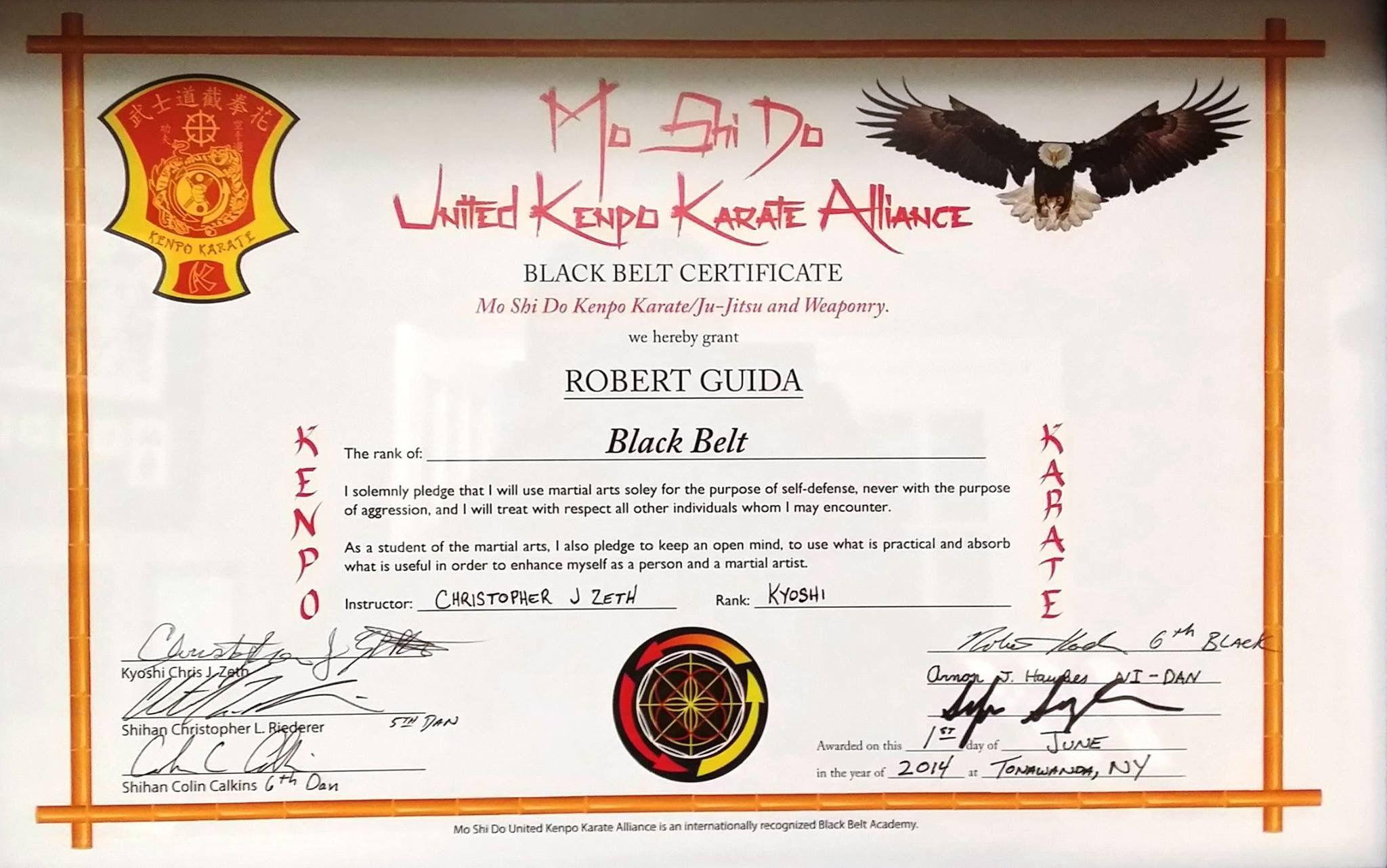 Pindouglas E Hamilton On Martial Art Certificate for Martial Arts Certificate Templates