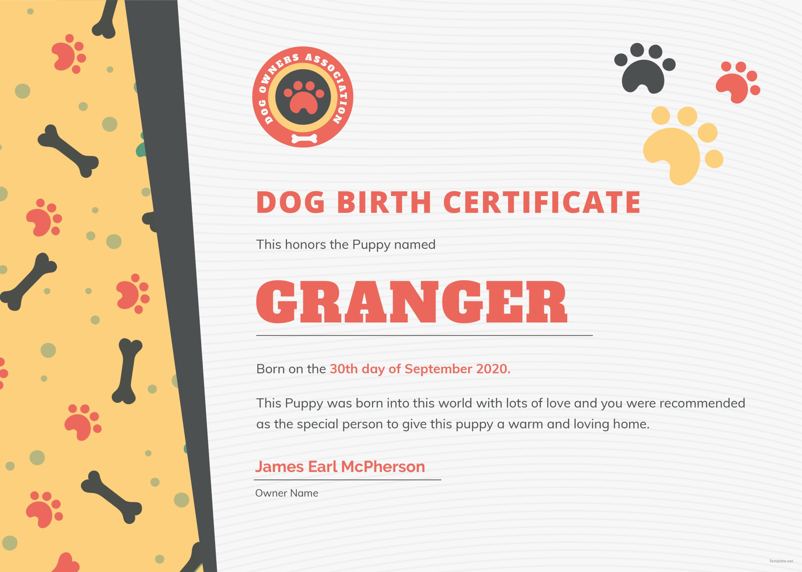 Pinyinelis Vega On Blw Darío  Birth Certificate intended for Best Puppy Birth Certificate Template