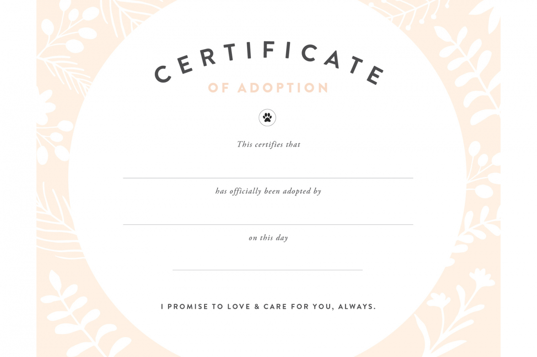 Puppy Adoption Certificate Templates with regard to Amazing Dog Training Certificate Template Free 10 Best