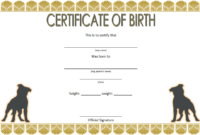 Puppy Birth Certificate Free Printable 8 Distinctive Ideas regarding Printable Service Dog Certificate Template Free 7 Designs