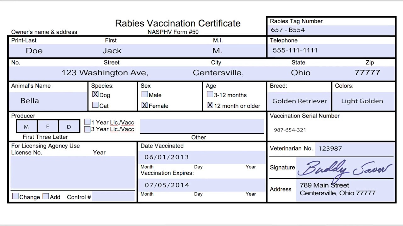 Usda Aphis Travel Documentation Rabies Vaccination Certificate pertaining to Best Certificate Of Vaccination Template