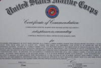 Usmc Certificate Template  Dalepmidnightpigco With Army regarding Free Good Conduct Certificate Template